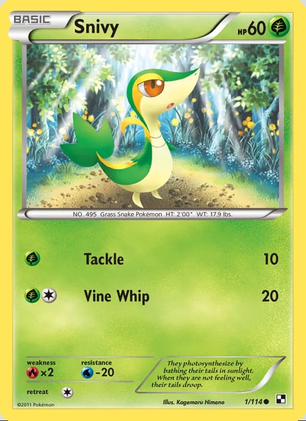 Snivy — Black & White #1