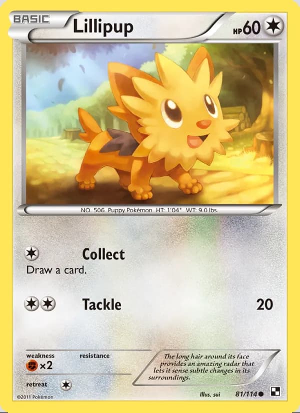 Lillipup — Black & White #81
