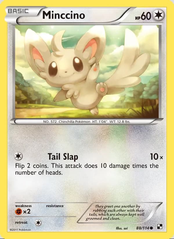 Minccino — Black & White #88