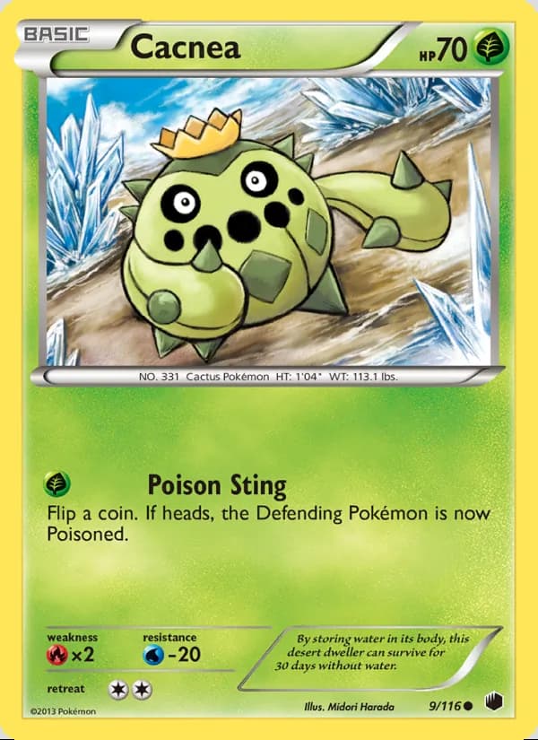 Cacnea — Glaciación Plasma #9