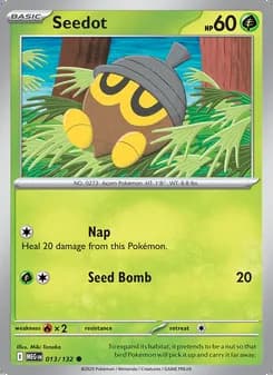 Seedot — Mega Evolution #013
