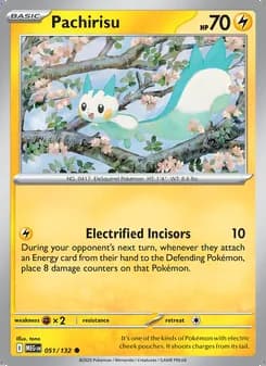 Pachirisu — Mega Evolution #051