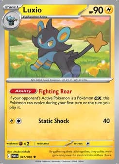 Luxio — Perfect Order #027