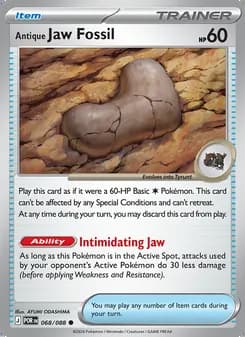 Antique Jaw Fossil — Perfect Order #068