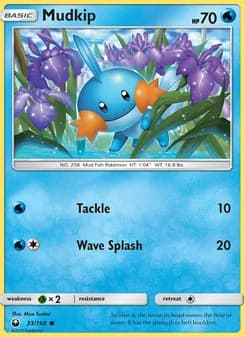 Mudkip — Celestial Storm #33