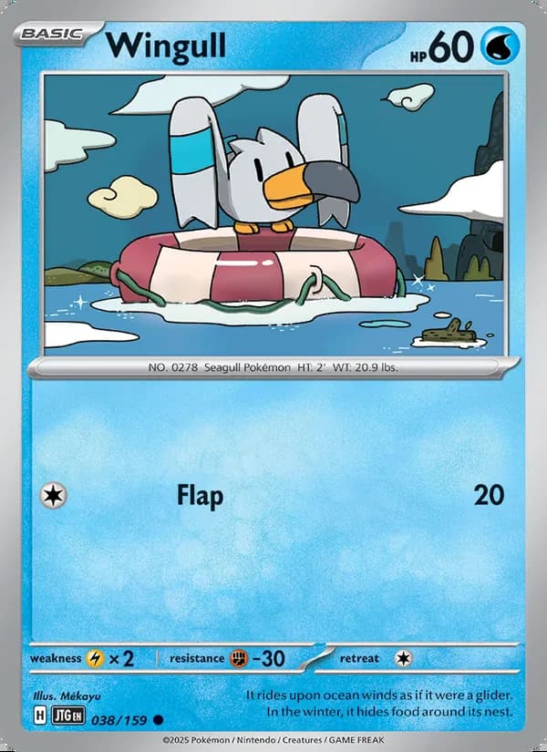 Wingull — Juntos de Aventuras #038