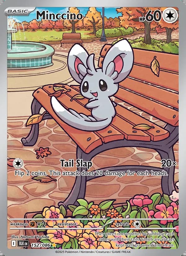 Minccino — Black Bolt #152