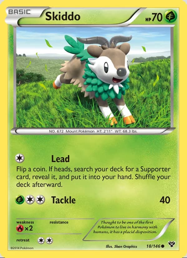 Skiddo — XY #18