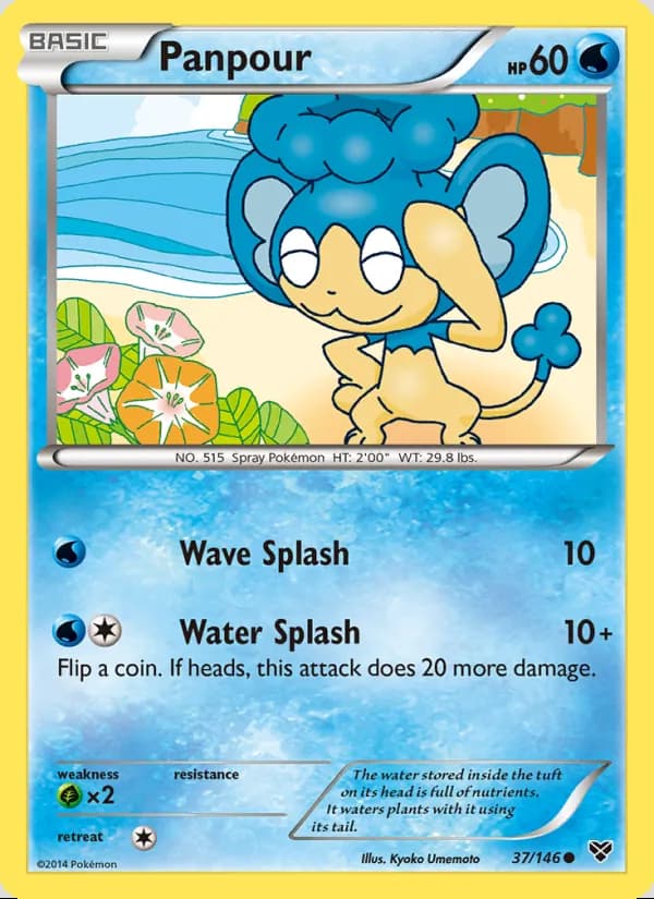 Panpour — XY #37