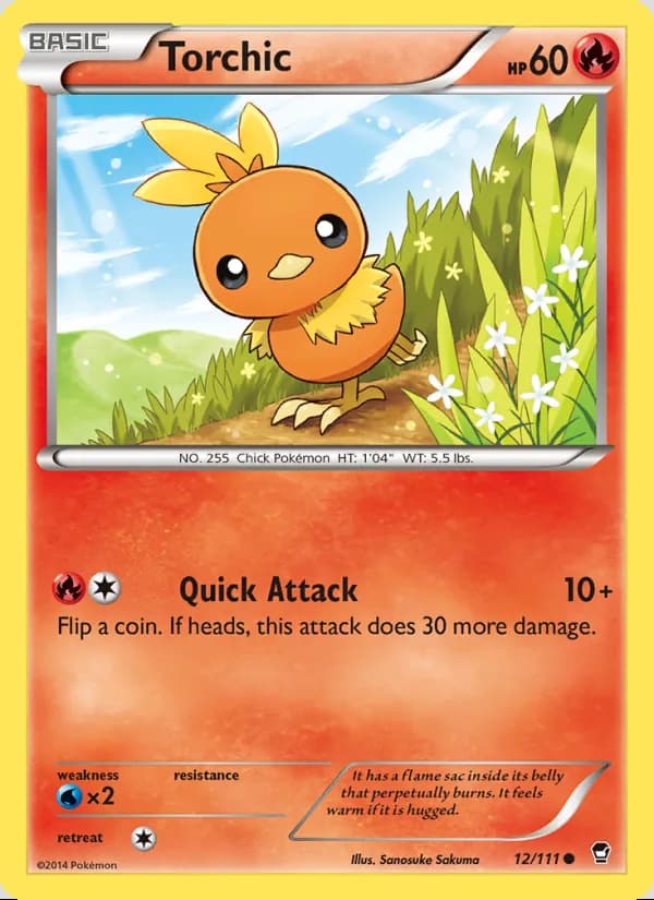 Torchic — Puños Furiosos #12