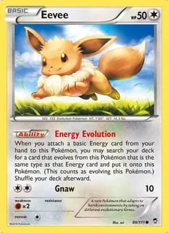 Eevee — Puños Furiosos #80