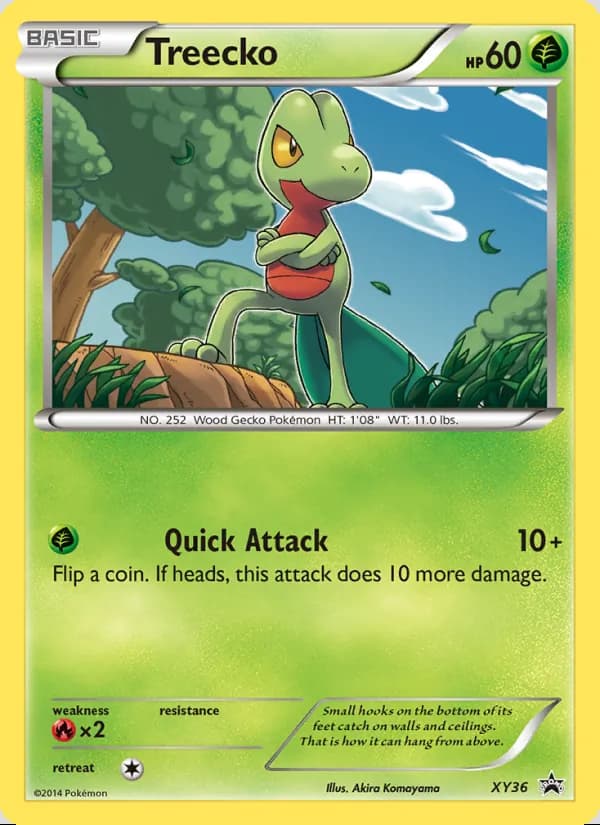 Treecko — XY Black Star Promos #XY36