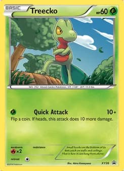 Treecko — XY Cartas de promoción #XY36